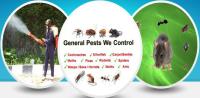 Green Pest Shield image 1